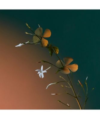 ペンハリガン　ア キス オブ ブリス オードパルファム 100ml ア キス オブ ブリス オードパルファム:ペンハリガン