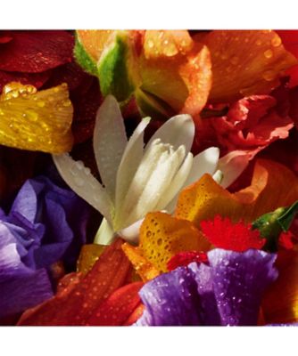 【新品未開封】ゲラン　アクアアレゴリア　フォルテ　フローラブルームコフレ アクア アレゴリア フォルテ フローラブルーム コフレ / ゲラン(その他