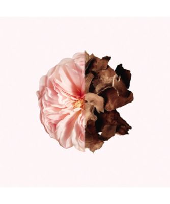 GIVENCHY イレジスティブル コフレ ジバンシイ］イレジスティブル コフレ［2023年 11月発売