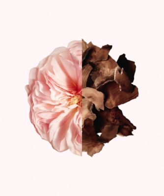 GIVENCHY（GIVENCHY） イレジスティブル コフレ（限定キット） 通販