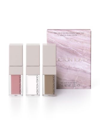 ＜ADDICTION＞アディクション　ザ　リキッドブラッシュ　フォギー　ミニ　トリオ　１０１（限定キット）