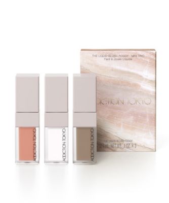 ＜ADDICTION＞アディクション　ザ　リキッドブラッシュ　フォギー　ミニ　トリオ　１０２（限定キット）