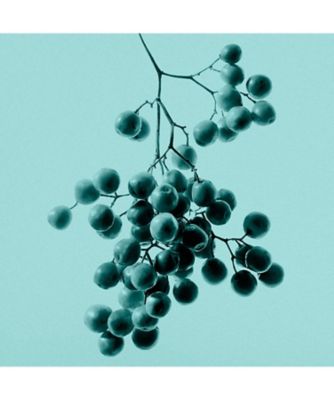 TIFFANY&Co.（TIFFANY&Co.） ティファニー オードパルファム