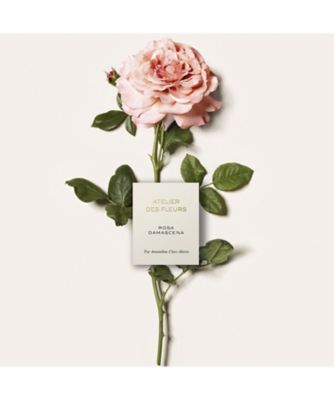 Chloé（Chloé） クロエ アトリエ デ フルール ロサ ダマスケナ