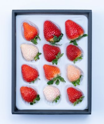 ２９００５　いちご１２種食べ比べ