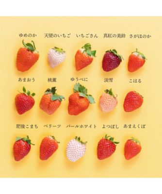 29005 いちご12種食べ比べ | 三越伊勢丹オンラインストア・通販