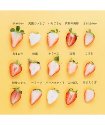 いちご☆断捨離中様♥️専用ページ 29005 いちご12種食べ比べ | 三越伊勢丹オンラインストア・通販
