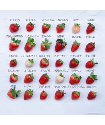 いちご☆断捨離中様♥️専用ページ お待たせしました！今年も、かみむら農園さんの「有機いちご」が登場