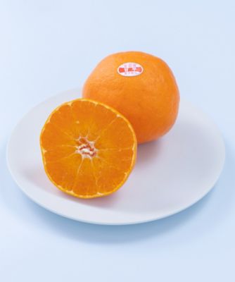 ２９００６　愛媛産柑橘　甘平