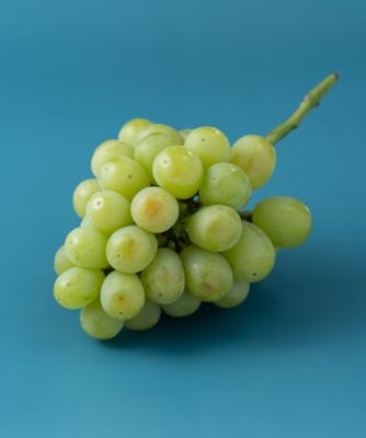 ２９０１１　長野産シャインマスカット１房