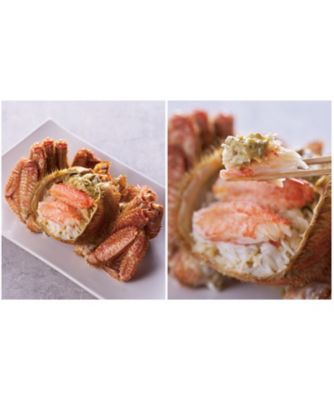 15004 2尾 (500g)北海道産 ボイル毛がに(2~3人向き) ※Kani-to特製かに酢付き