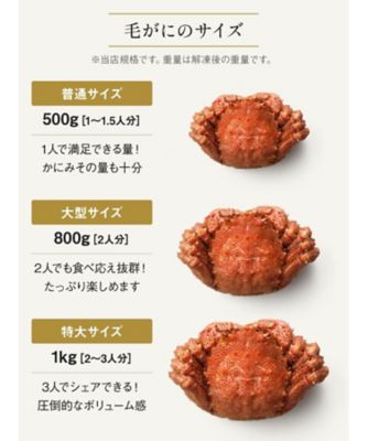 １５００４　２尾　（５００ｇ）北海道産　ボイル毛がに（２～３人向き）　※Ｋａｎｉ－ｔｏ特製かに酢付き