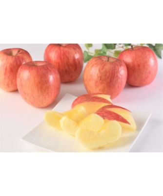三越伊勢丹オンラインストア 21343 1箱 長野県志賀高原産 サンふじりんご 食品【三越伊勢丹/公式】
