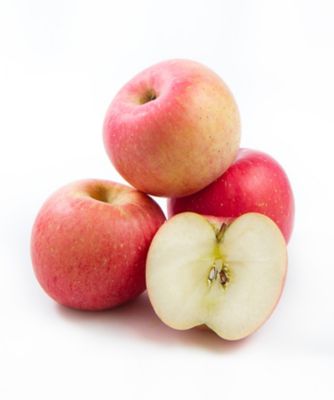 三越伊勢丹オンラインストア 21313 1箱 長野県志賀高原産 サンふじりんご大玉(1玉300g以上) 食品【三越伊勢丹/公式】