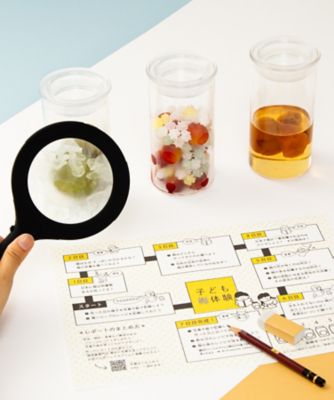 【店頭イベント／日本橋】＜梅体験専門店「蝶矢」＞夏休み子ども梅体験８月１６日（土）・８月１７日（日）各日午後１時～午後５時（５０分／各５回）