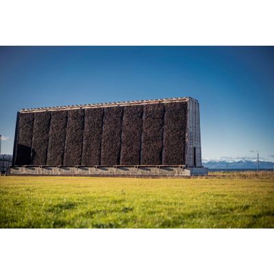 【浦和スコパおまとめ】★ブラックソーン　スコティッシュシーソルト（フレーク）