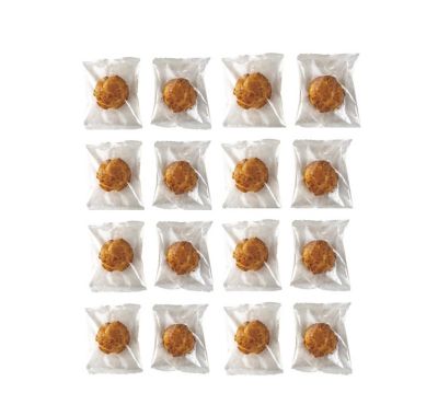 ★【産直】山形［２５］山から　山のシュークリーム（１６個）
