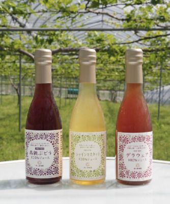山形/漆山果樹園/ウルシヤマカジュエン ★【産直】ぶどうジュース3本セット 1セット