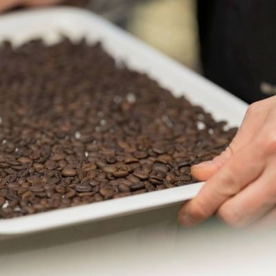 ★【産直】デカフェＢＬＥＮＤドリップバッグ（２１個）