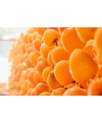 ☆【産直】福島県産 五十沢のあんぽ柿 8個 | 福島/種まきうさぎ