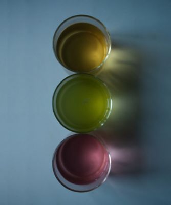 ＜EN TEA＞【帰省＆お年賀手土産おまとめ】祝う茶　個包装封筒入り