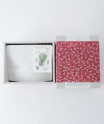 EN TEA/エンティー 祝う茶 7個入ボックス入