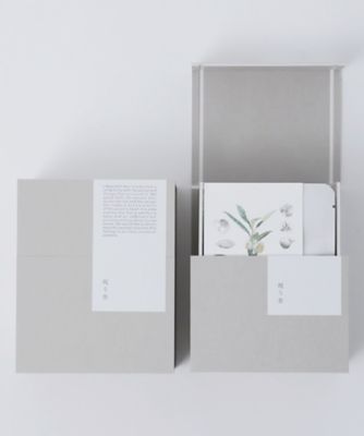 EN TEA/エンティー 祝う茶 個包装ボックス入