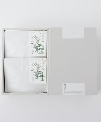 EN TEA/エンティー 向き合う茶 7個入ボックス入