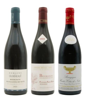 ＜銀座三越テイスティングカウンター＞ブルゴーニュ　オートコート　ド　ニュイ　赤ワイン３本セット