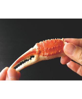 22062 本ずわい蟹爪肉（リングカット・ボイル）900g | 三越