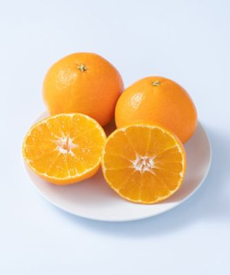 ２９００４　愛媛産柑橘　愛果２８号「至高のマドンナ」