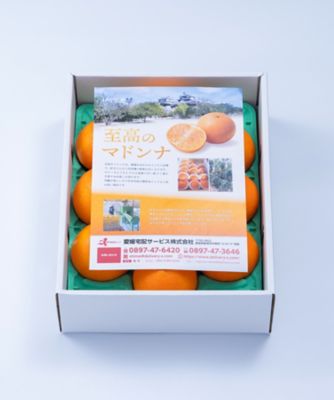 29004 愛媛産柑橘 愛果28号「至高のマドンナ」 | 三越伊勢丹