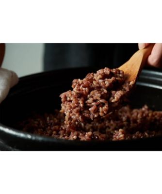 １１２３７　１箱　レンジで出来る！玄米おむすび１０種セット