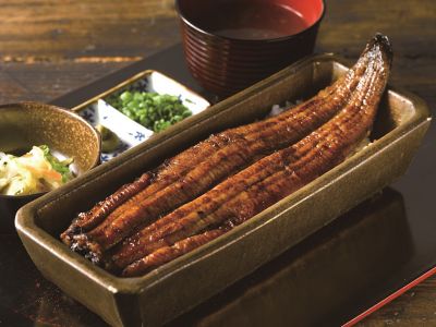 【一の丑】１６００１　「うなぎ四代目菊川」一本鰻１本入り　７月１７日（木）・１８日（金）お届け