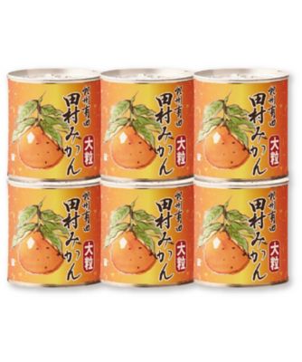 みかん　1箱 柑橘の一大産地・愛媛県西宇和地方より贈答みかんのご予約受付