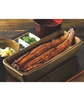 ２２０６９　＜うなぎ四代目菊川＞一本鰻