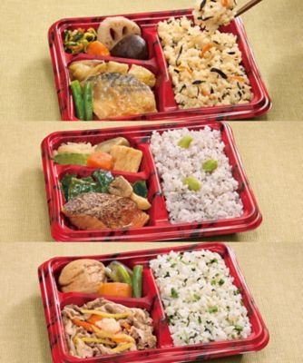２０２９３　冷凍弁当　３種お試しセット