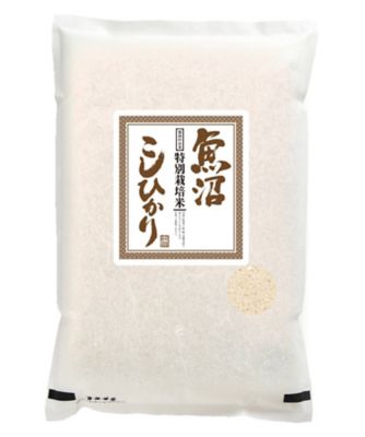 カワサキ森田屋/カワサキモリタヤ 新潟県魚沼産コシヒカリ【春】