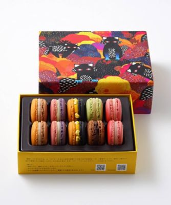＜PIERRE HERME PARIS＞マカロン１０個詰合わせ「ディアボリックマン　デリシュー」