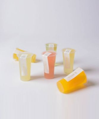 和素材フルーツゼリー　６種セット