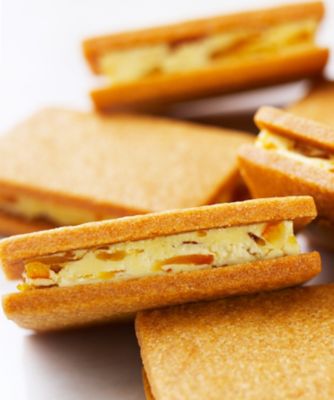 オレンジウィッチとレーズン＆クランベリーウィッチ（２０個入り）