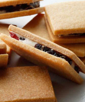 オレンジウィッチとレーズン＆クランベリーウィッチ（20個入り