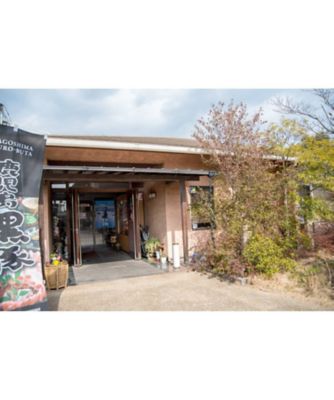 かつめしセット
