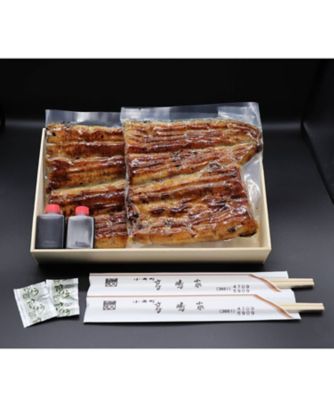 日本橋　鰻　高嶋家/ニホンバシウナギタカシマヤ 【一の丑】３０２．うなぎ蒲焼真空パック　７月１７日（木）・１８日（金）お届け