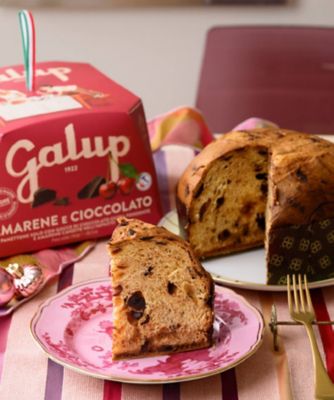 ＜GALUP＞［Ｇ０４］アマレーナとダークチョコレートのパネットーネ　１２月２０日（土）・２１日（日）お届け