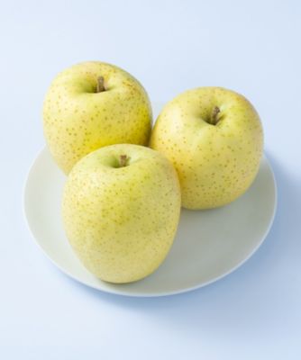 ２９００８　フルーツ専門店が選ぶ旬の青林檎