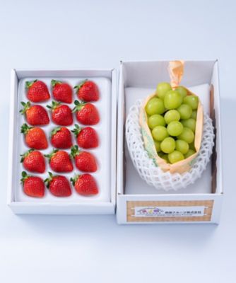 ２９０１４　旬のフルーツセットＦ１７（あまおう＆シャインマスカット）