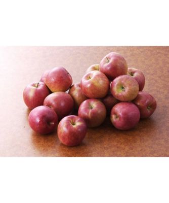 ２１０９３　１箱　長野県産　シナノスイート