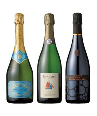 ４つ星生産者エグリウーリエ、ボランジェ、シャンパーニュ　２本セット 送料無料ギフト|シャンパーニュと瓶詰めオードブル3種詰合せ