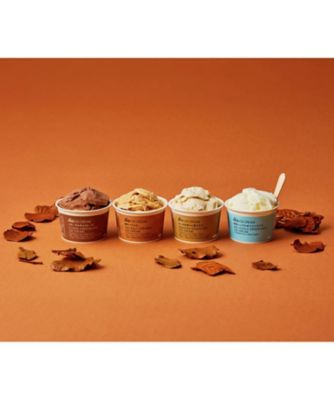 ＜HiO ICE CREAM＞クラフトアイスクリーム（Ｒ）ギフトセット